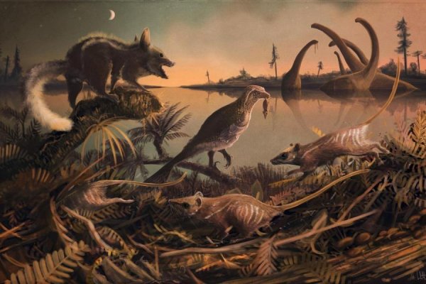 В Якутии археологи раскопали останки новых древнейших млекопитающих