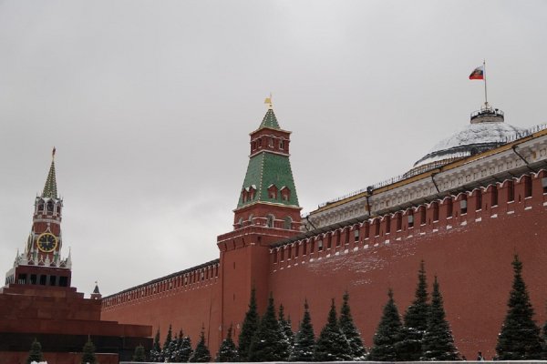 Психолог объяснила, почему люди занимаются сексом у стен Кремля