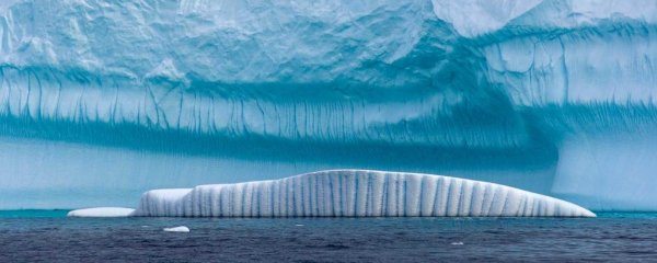 «Последний бастион пал»: Начал таять старейший лед Арктики