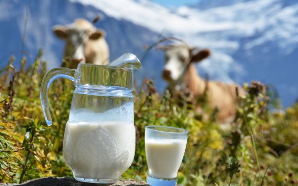 Роскачество нашло ряд нарушений в ходе проверки молока