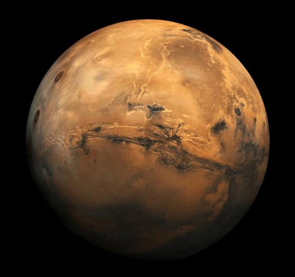 Астробиолог: Инопланетная жизнь на Марсе может быть найдена в 2019 году