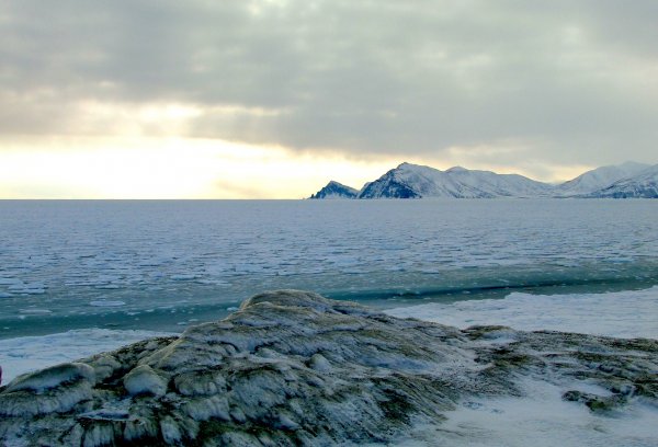 Тихий океан замерзнет: наступление Малого ледникового периода идет с глубин океана