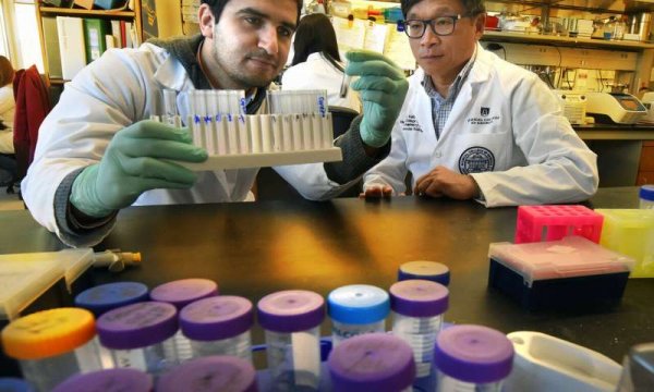 Учёные обнаружили белок, способствующий развитию рака толстой кишки