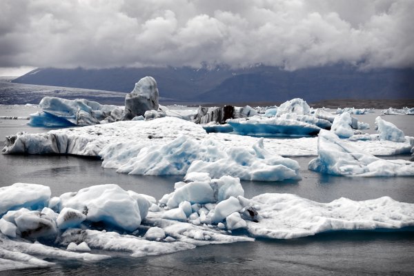 Учёные назвали животных, которые вымрут в Антарктиде от глобального потепления