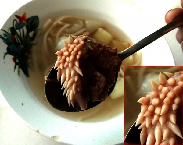 «Мясо с белыми щупальцами»: В школьном супе обнаружена внеземная форма жизни, угрожающая планете 23 февраля