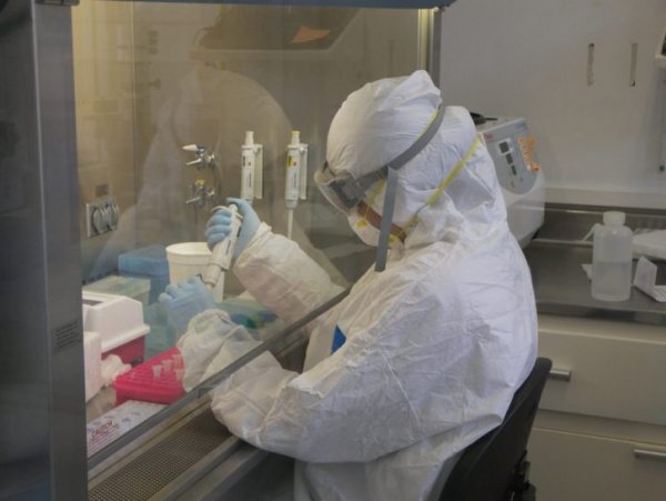 «Туберкулёз – болезнь будущего»: Учёные стоят на пороге открытия уникальной вакцины