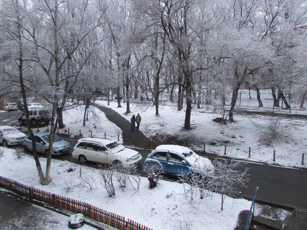 «Глобальное потепление?»: Погодная аномалия во Владивостоке вылилась в мощнейшую метель с молниями