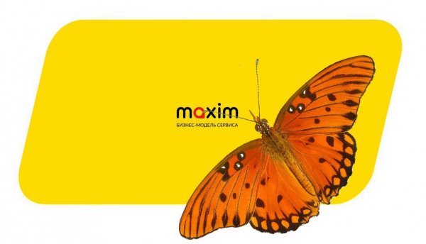 «Прощай, Максим!»: водители такси требуют плату даже за перевозку бабочки