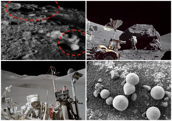 Уфологи нашли инопланетные фермы на Марсе и Луне – В Сеть попало фото гигантских космических грибов NASA