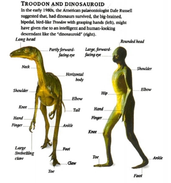 Человечество произошло от шизофреников-рептилоидов - найдены останки динозавров