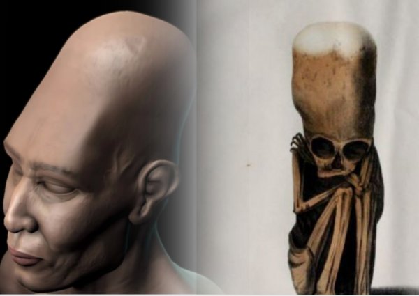 Детёныш пришельца найден в Перу. Учёные воссоздали облик инопланетян по древнему черепу