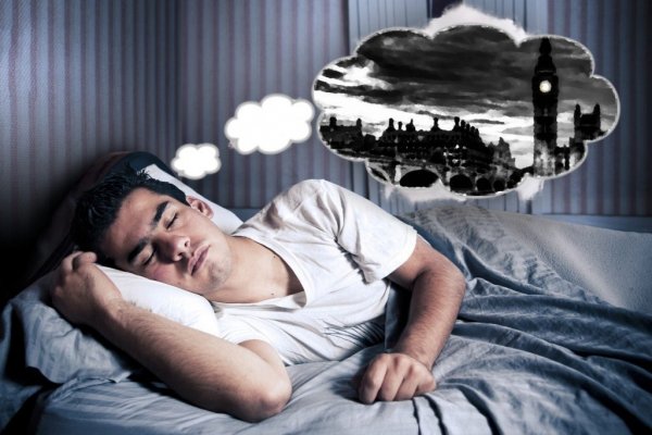 Всё дело в фазе сна: Учёные рассказали, почему некоторые люди плохо запоминают сны