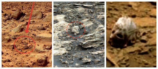 На Марсе нашли черепа пришельца: Земля была древней стоянкой инопланетян – уфологи