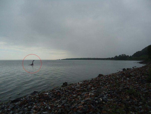 В Байкале обнаружено «чудовище» из озера Лох-Несс