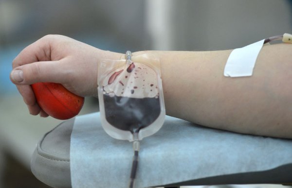 Больше шансов на спасение. Учёные нашли способ создания донорской крови