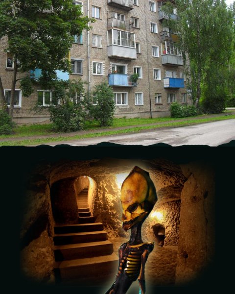 «Тараканы» с Нибиру: Карлики-пришельцы строят города в подвалах жилых домов - эксперт