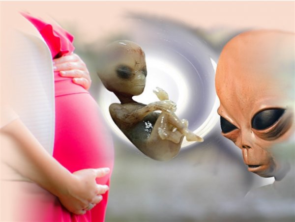 Заразился от человека? Фото беременного пришельца «взорвало» Сеть