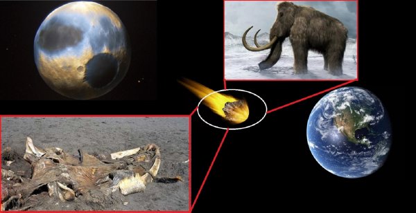 «Прилетел с Плутона»: На Камчатке нашли труп инопланетного мамонта — уфолог