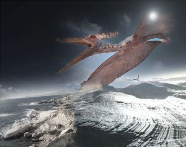 Динозаврам мороз не помеха: На Плутоне найден скелет птеродактиля