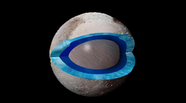 Динозаврам мороз не помеха: На Плутоне найден скелет птеродактиля