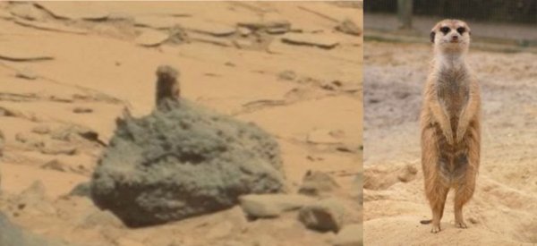 Сгорел, как шашлык! Обугленное тело пришельца с Марса найдено в Калининской АЭС