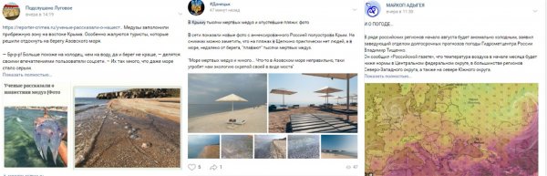 Нибиру атакует Чёрное море: Крым «кишит» ядовитыми медузами-гигантами с Планеты Х