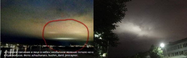 Мерзкий подкидыш: Пришелец-гоблин напал на грибника в Красноярске
