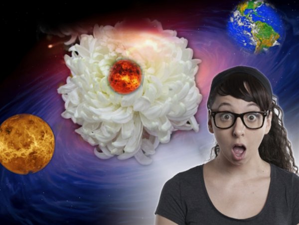 Хризантема Апокалипсиса: «Тоннель времени» Земли и Венеры разрушит Солнечную систему осенью 2019