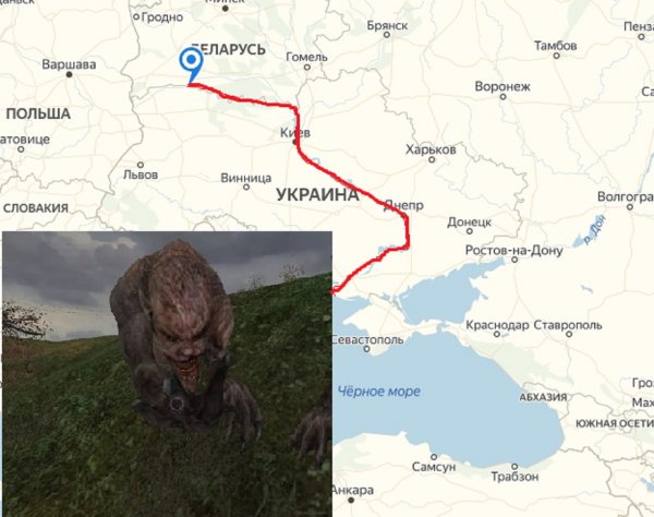 Рыба, мясо и мутант: В Чернобыле выловили чешуйчатого свинозавра