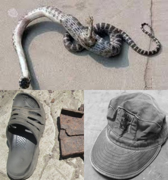 В Чернобыле поймали 4-метрового человека-змея, нападающего на туристов