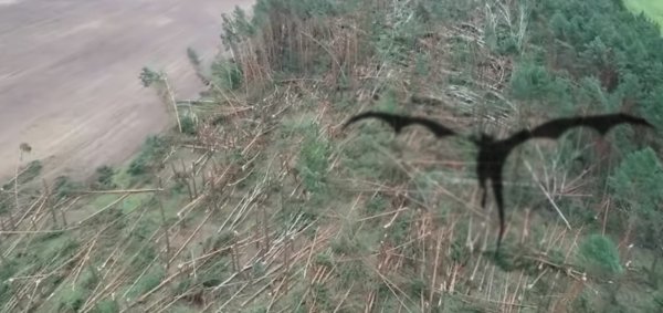 Сибирский дракон вернулся! Чудовище с Нибиру повалило тысячи деревьев в Гомеле - эксперт