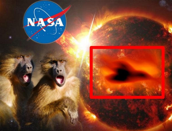 Разоблачена ложь NASA: Уфолог нашёл НЛО на Солнце из-за «ястреба смерти»