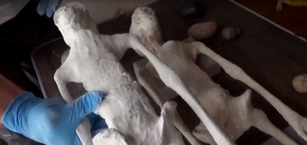 Безносые вторженцы: В пирамиде Хеопса обнаружили мумии близнецов-пришельцев