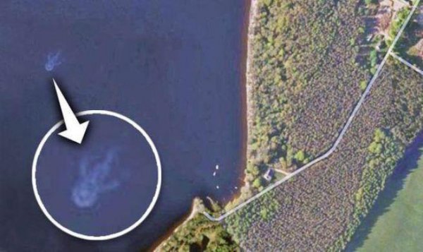 Кракен с Нибиру: Спутники Google засняли 100-метровое чудовище в Байкале