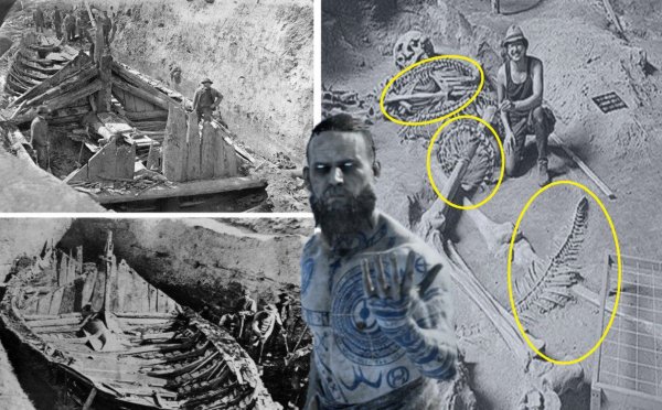 «Скелет обвит змеёй»: Корабль короля викингов скрывал останки 4-метрового гиперборейца
