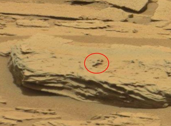 На Марсе нашли ампутированную кисть пришельца. Странные обряды марсиан