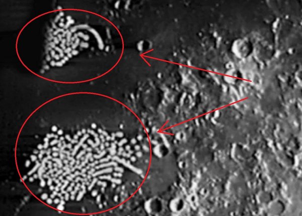 Тысячи яиц рептилоидов! На темной стороне Луны обнаружен инопланетный улей