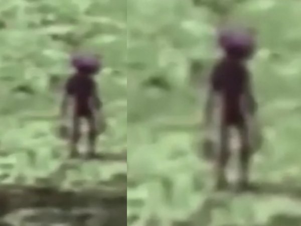 Гадкий гуманоид: Десантники поймали пришельца в лесу Подмосковья