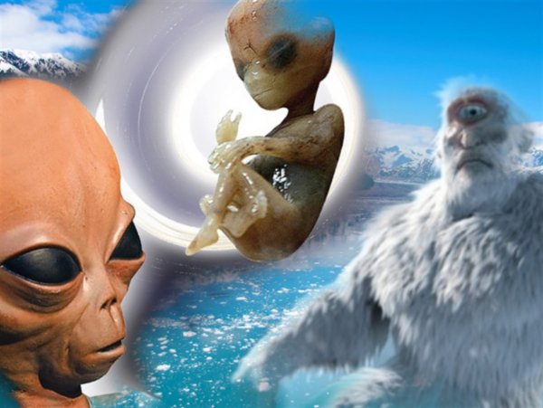 В Антарктике нашли «Людей Х» возрастом 30 млн лет
