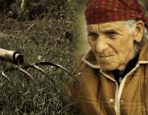 «Сосателям жизни крышка»: В Самаре пенсионерка заколола пришельца-кровососа