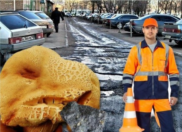 Тайна плохих дорог раскрыта: Асфальт в России едят инопланетные шампиньоны