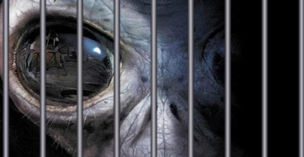 «Из тюрьмы с чистой совестью»: Очевидец заснял выходящего из Зоны-51 пришельца
