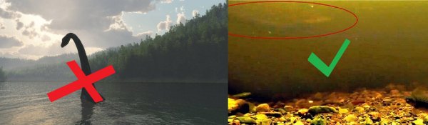 Открыт новый таинственный монстр в озере Лох-Несс – эксперты