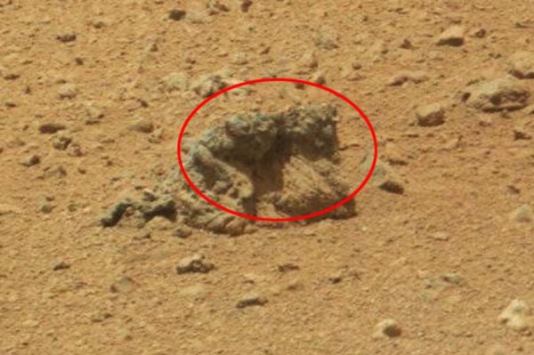 Кошмар на Марсе. На Красной планете нашли останки погибшего марсианина