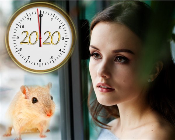 Опасный 2020 год: Чего «стопудово» нельзя делать в год Крысы?