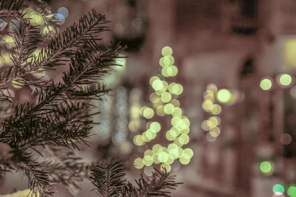 Ёлка на удачу: Как знакам зодиака украсить дерево на Новый год