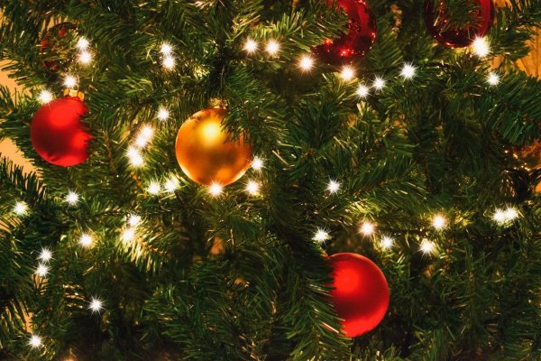 Ёлка на удачу: Как знакам зодиака украсить дерево на Новый год