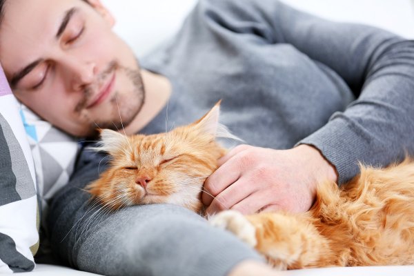 Спать с котом опасно или полезно? Эзотерик рассказал, можно ли пускать питомца на кровать