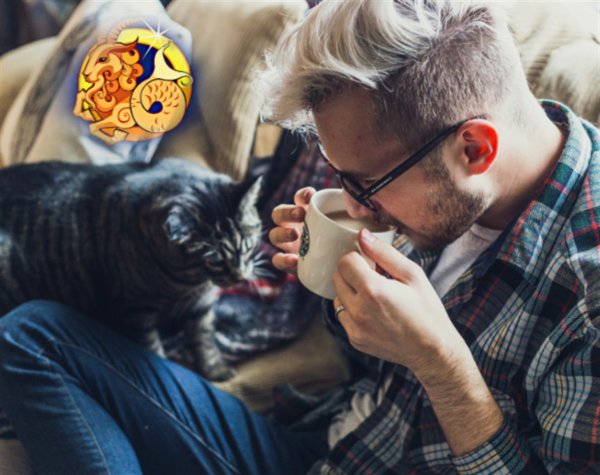 Супер-кот для счастья: Месяц появления «пушистика» в доме укажет на его миссию