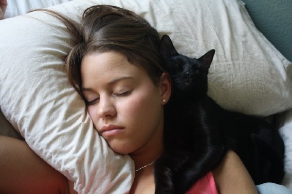 «Охраняют здоровье». Почему коты спят у головы хозяина — эзотерик